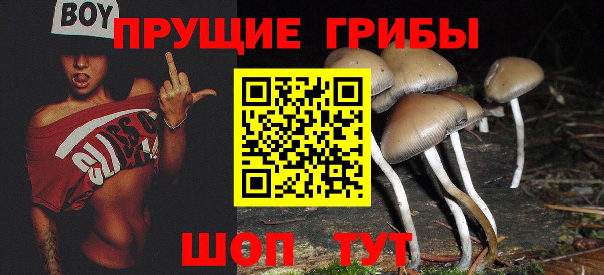 Егорьевск  купить закладку  Вход с VPN  Галлюциногенные грибы мицелий  Псилоцибиновые грибы мухоморы 